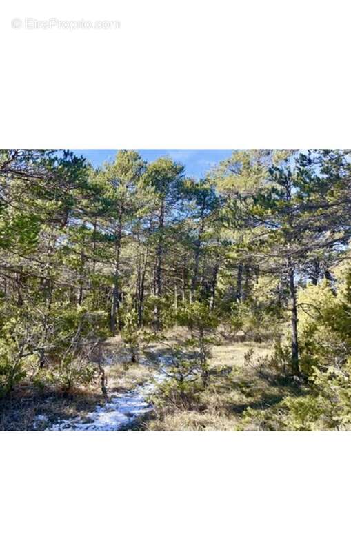 Photo 3 - Terrain à LA MARTRE