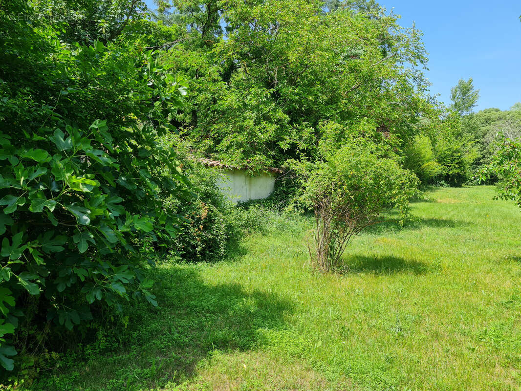 Maison à GENERARGUES