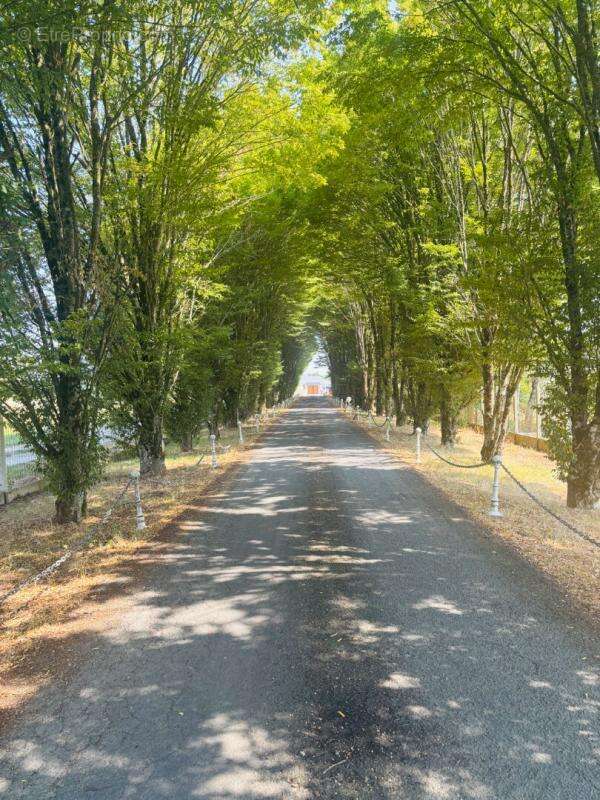 Maison Sarge Les Le Mans - photo 13