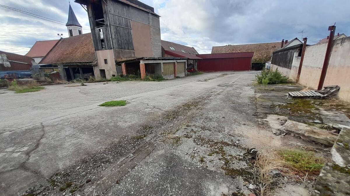 Photo 5 - Terrain à MITTELSCHAEFFOLSHEIM