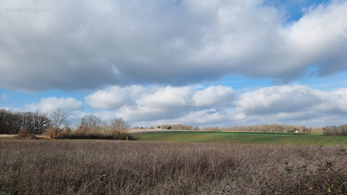 Terrain à L&#039;ISLE-EN-DODON