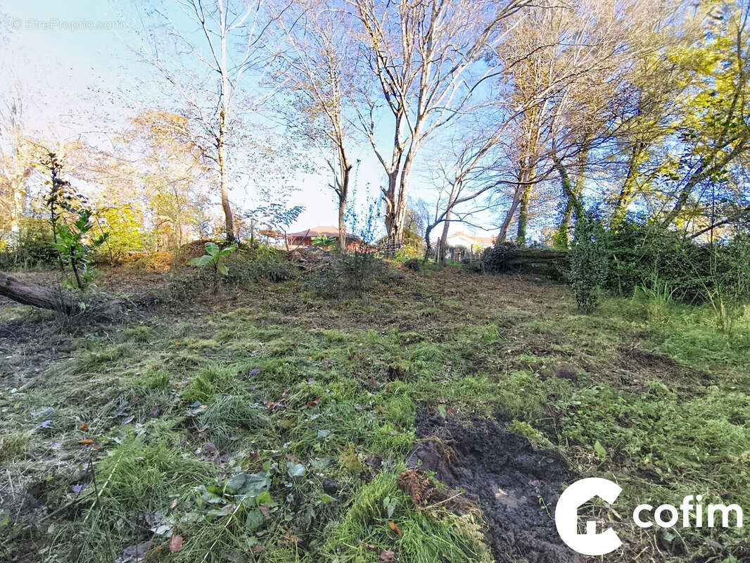 Terrain à SAINT-JULIEN-EN-BORN