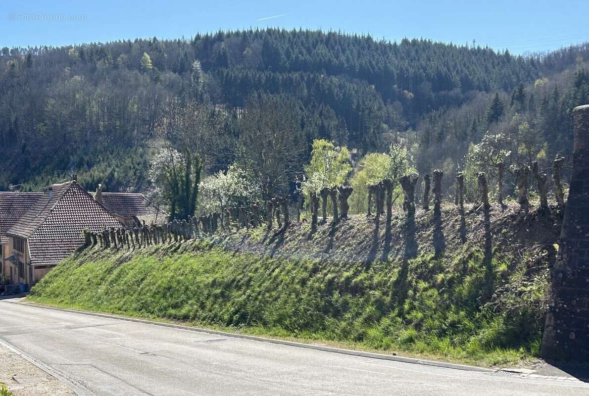 Terrain à STEIGE