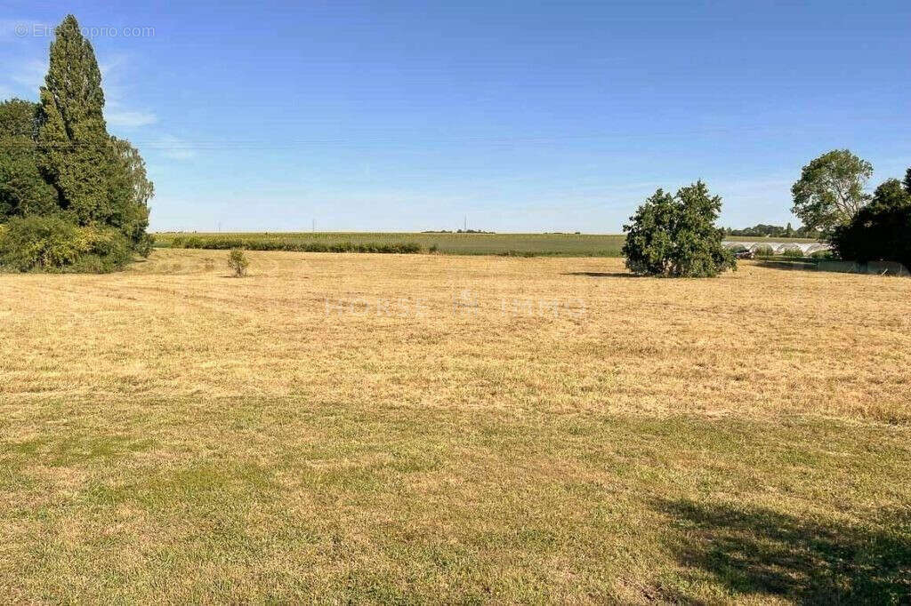 Propriété Equestre au sud de Coulommiers - photo 3