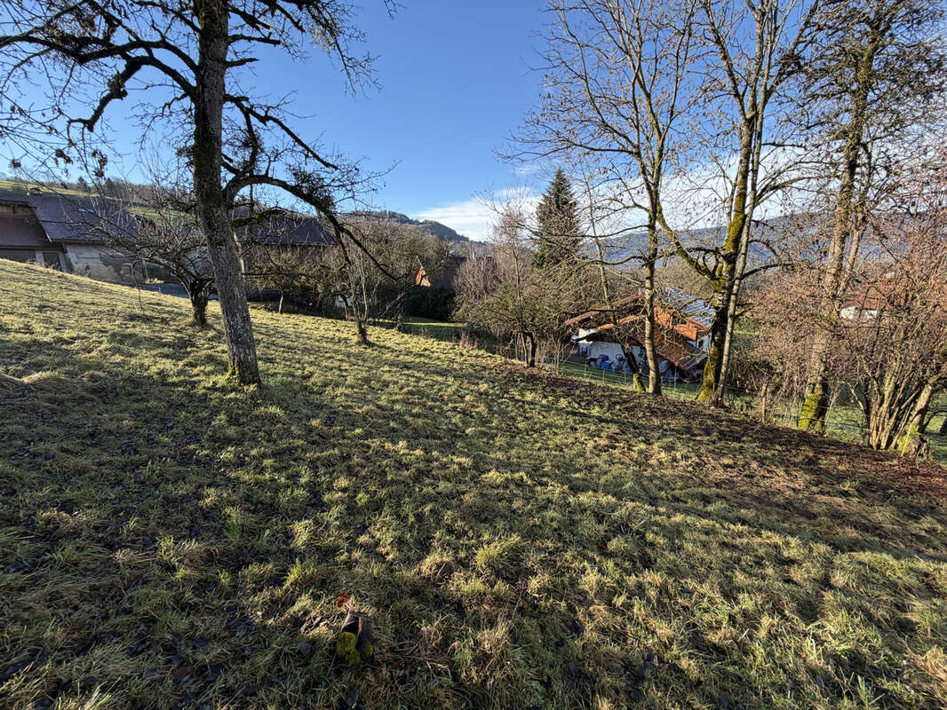Terrain à VILLARD