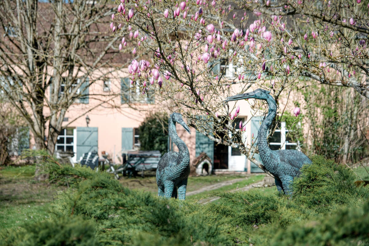 Maison à LIMOURS