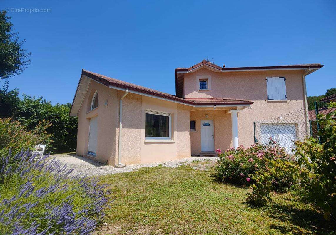 Maison La Buisse - photo 2
