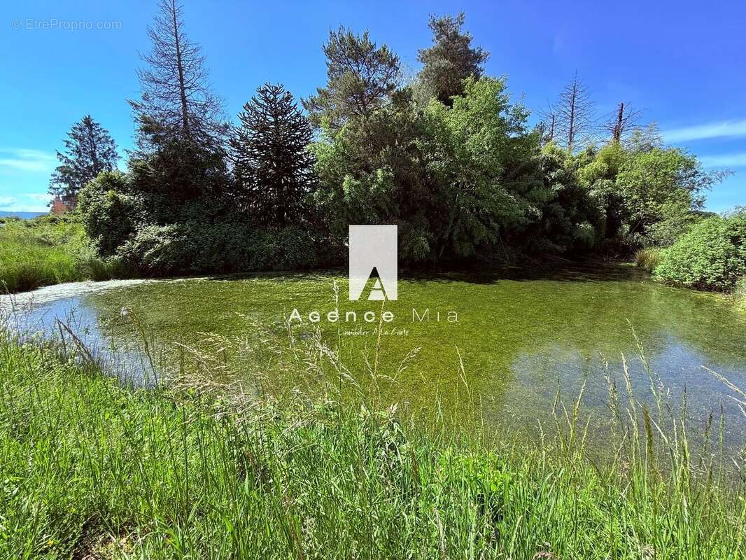 Saône-et-Loire  Domaine idéal pour activité d'hébergement - Proximité circuit de Bresse - photo 3