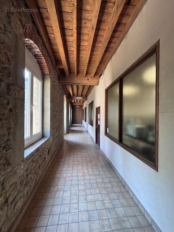 Commerce 4858 m² à Vienne  - photo 4