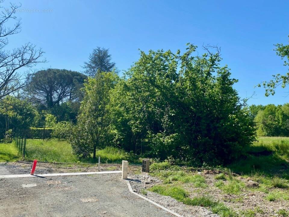 Terrain à LE TAILLAN-MEDOC