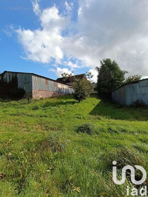 Photo 7 - Maison à SAINT-CONNAN