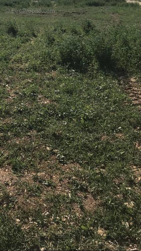 Terrain à FONTAINES