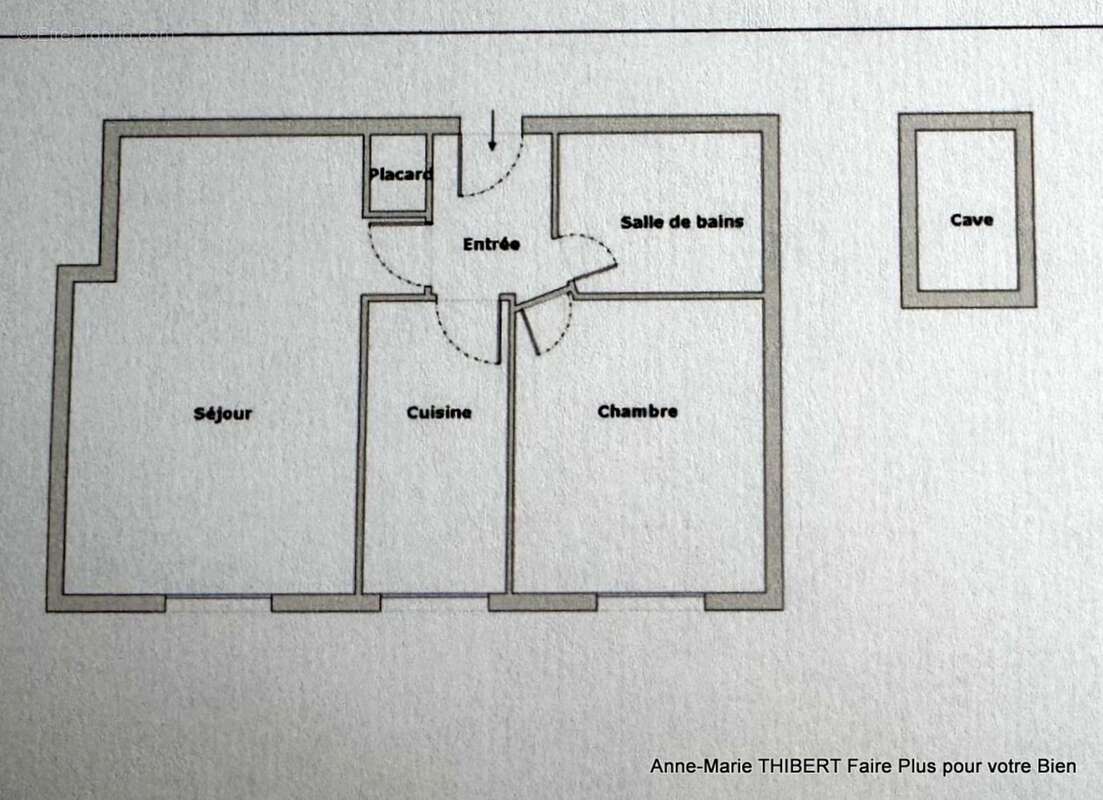 Appartement à vendre 2 pièces VILLEURBANNE (69) avec cave - photo 3