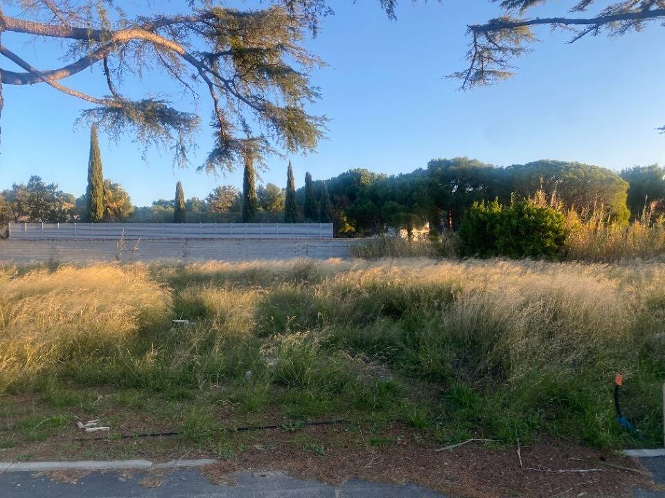 Terrain à NARBONNE