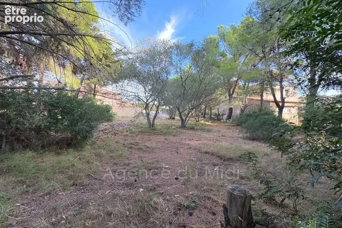 Photo Terrain à Leucate au prix de 349 650€