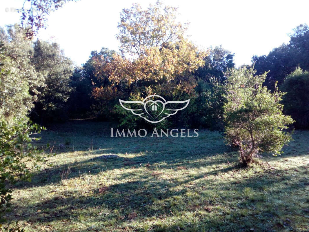 Terrain à VIOLS-EN-LAVAL