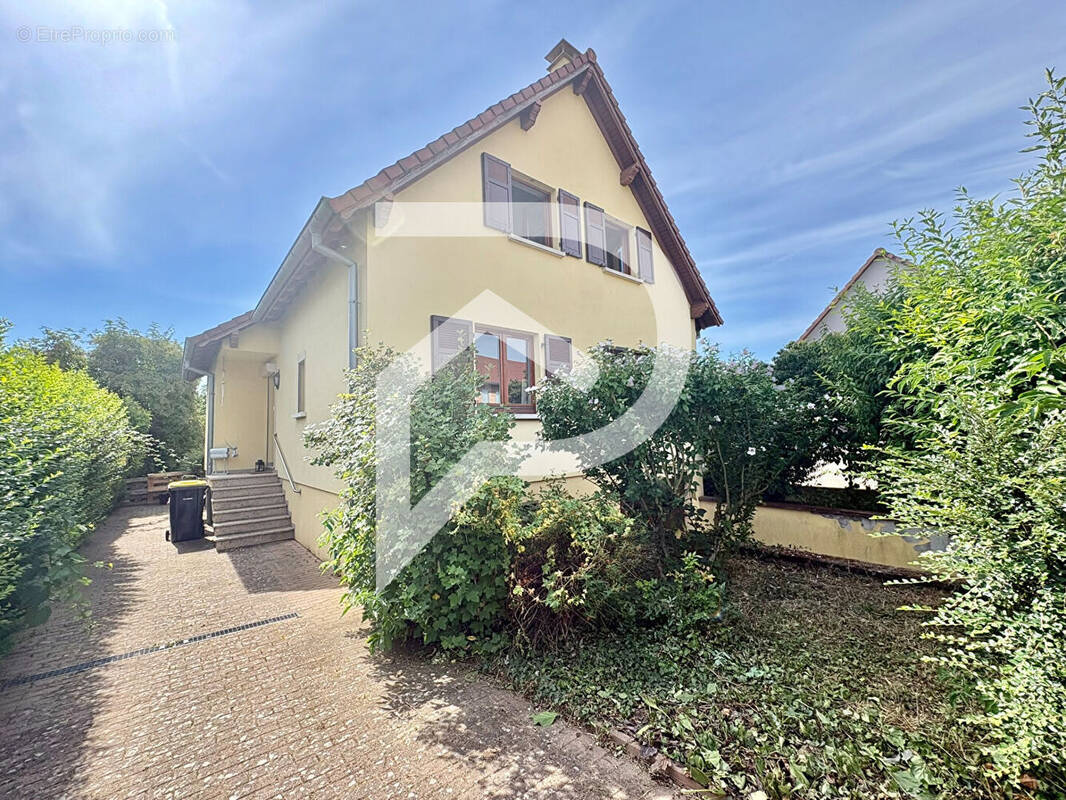 Maison à OBERMORSCHWIHR