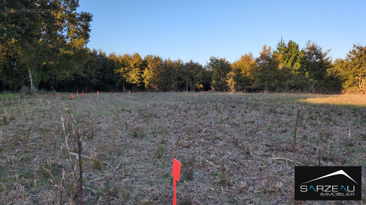 Terrain à LE TOUR-DU-PARC
