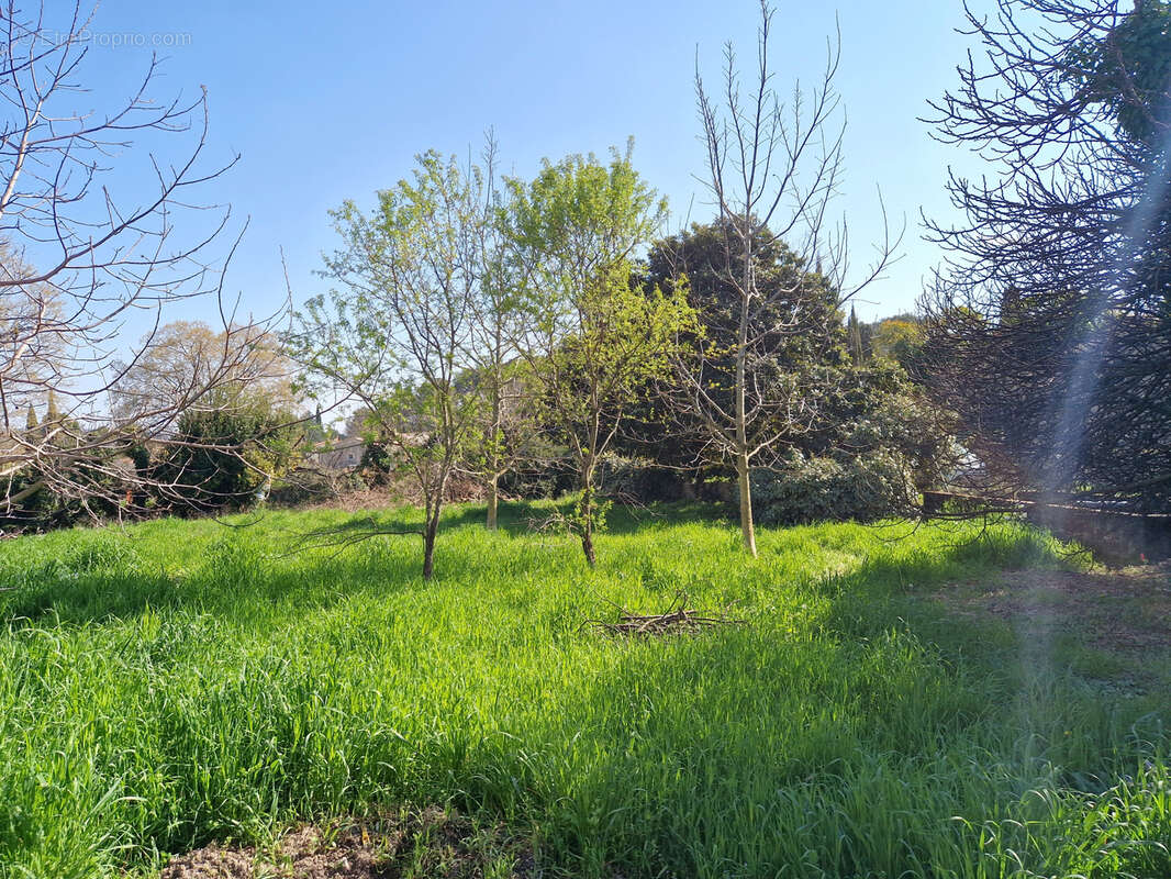 Terrain à FLAYOSC