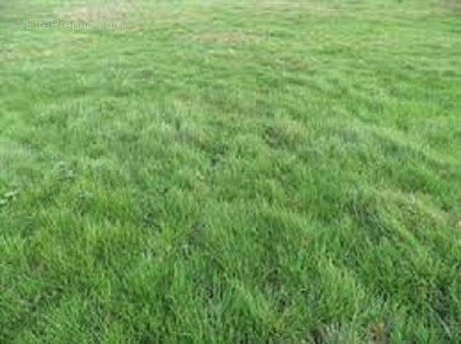 Terrain à CHATEAU-LANDON