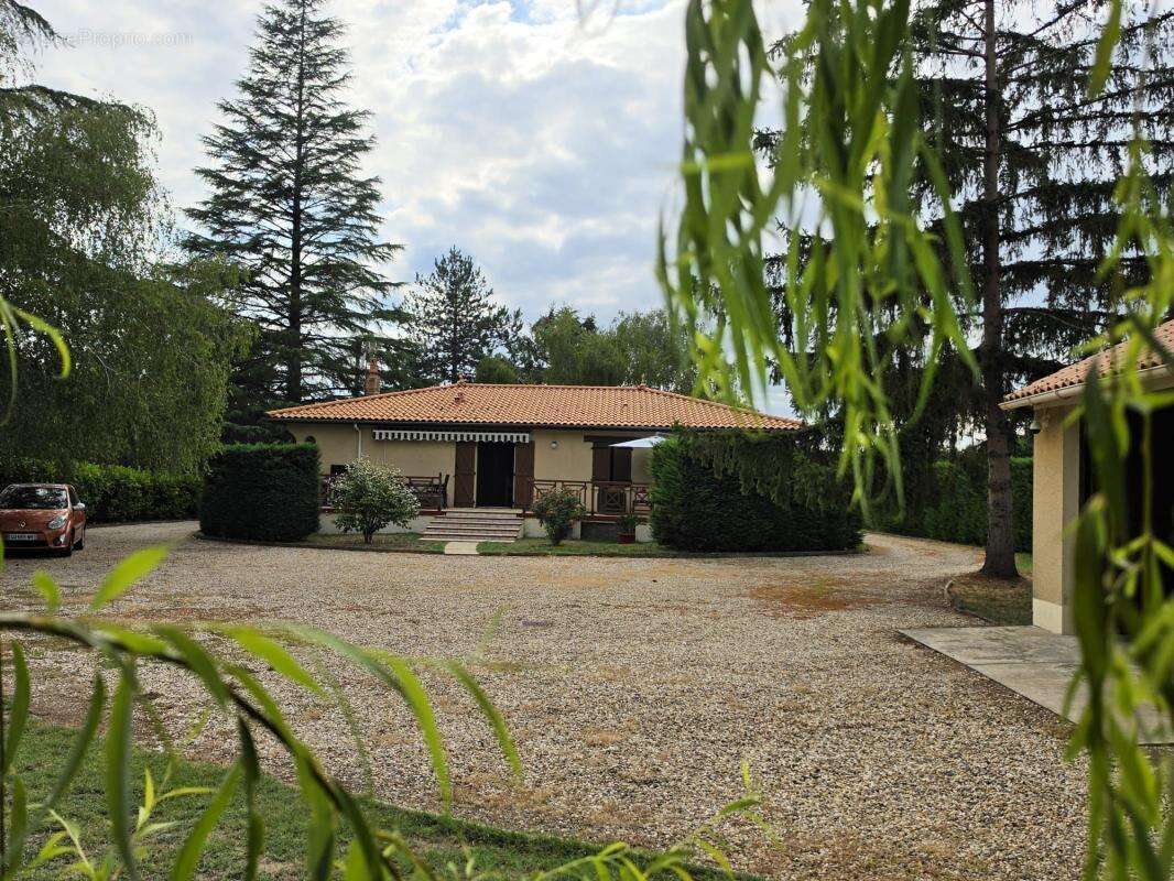 Maison À Vendre - photo 16