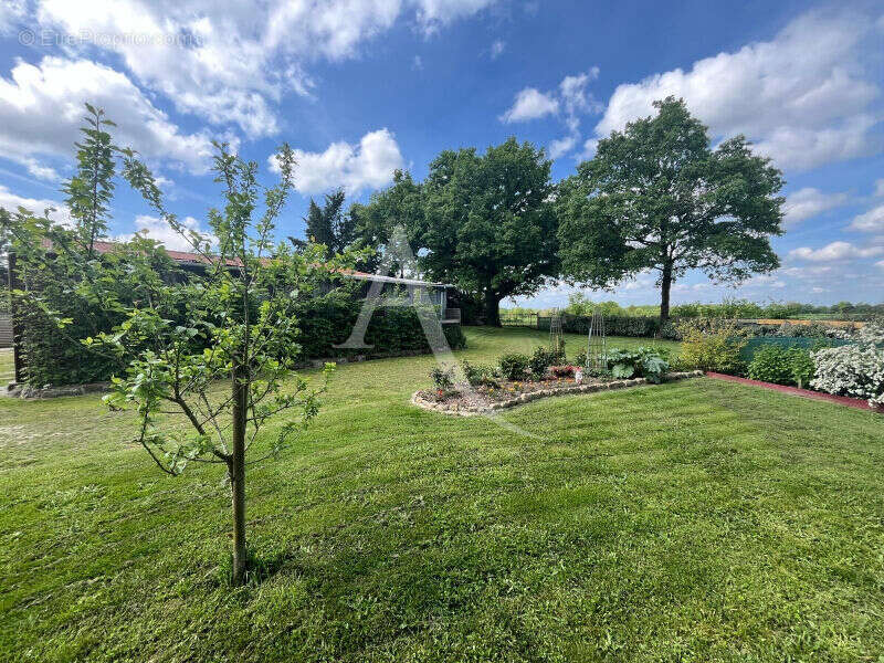 Maison à LA ROCHE-SUR-YON