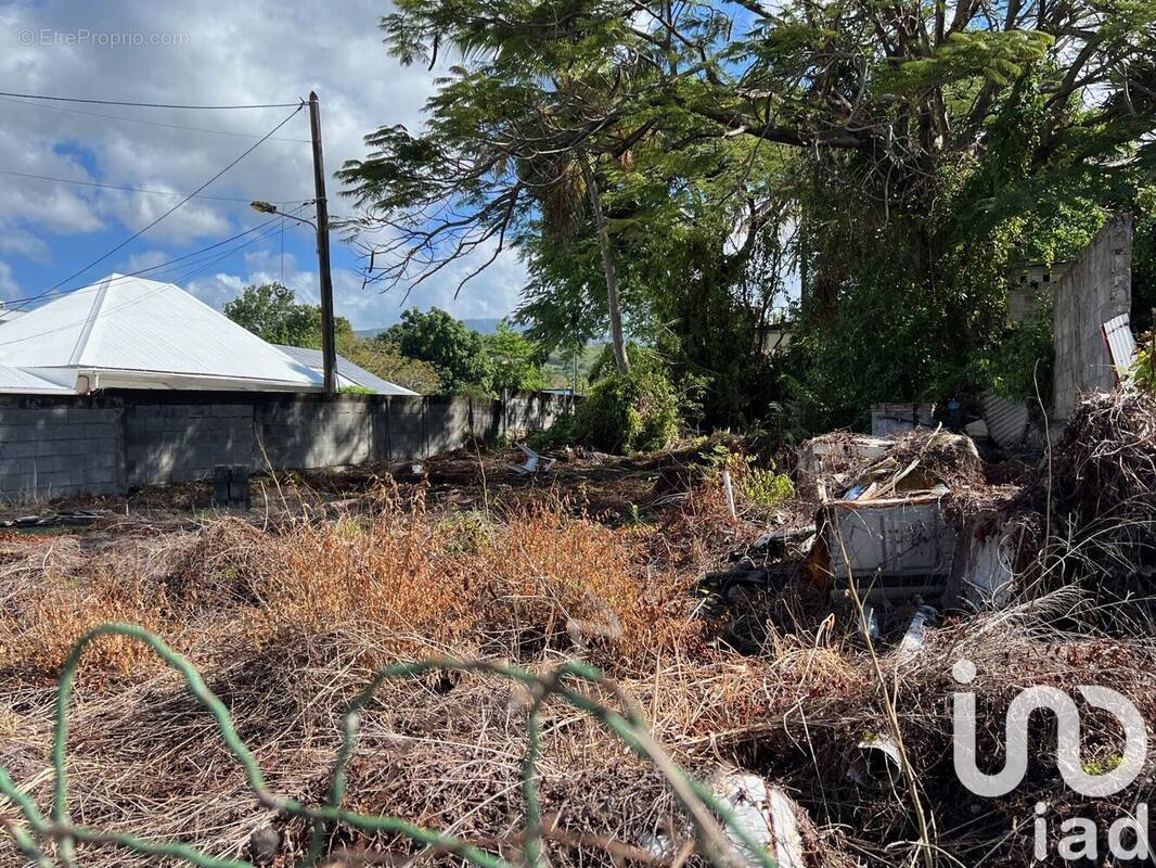 Photo 1 - Terrain à BASSE-TERRE