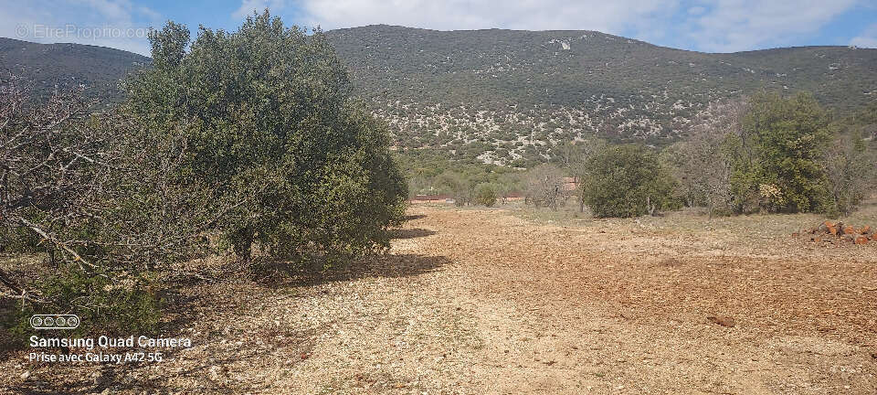 Terrain à JONQUERETTES