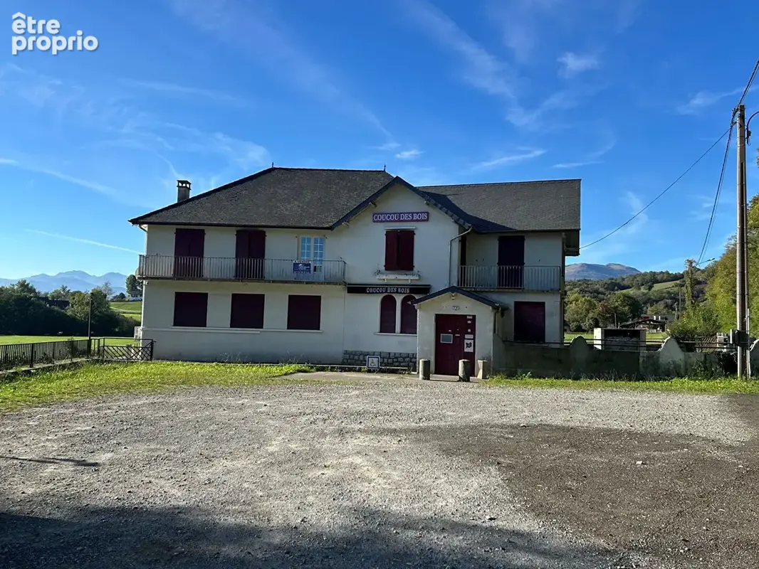 A vendre  le coucou des bois à ordiarp - photo 2