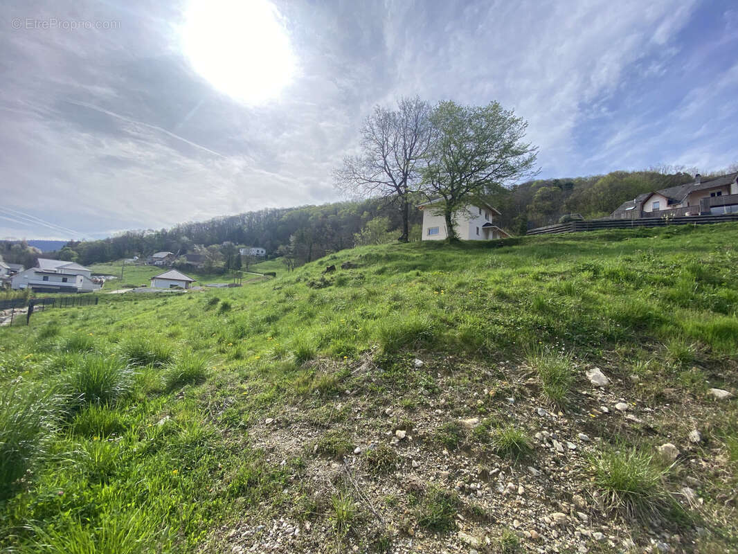 Terrain à SAINT-CASSIN
