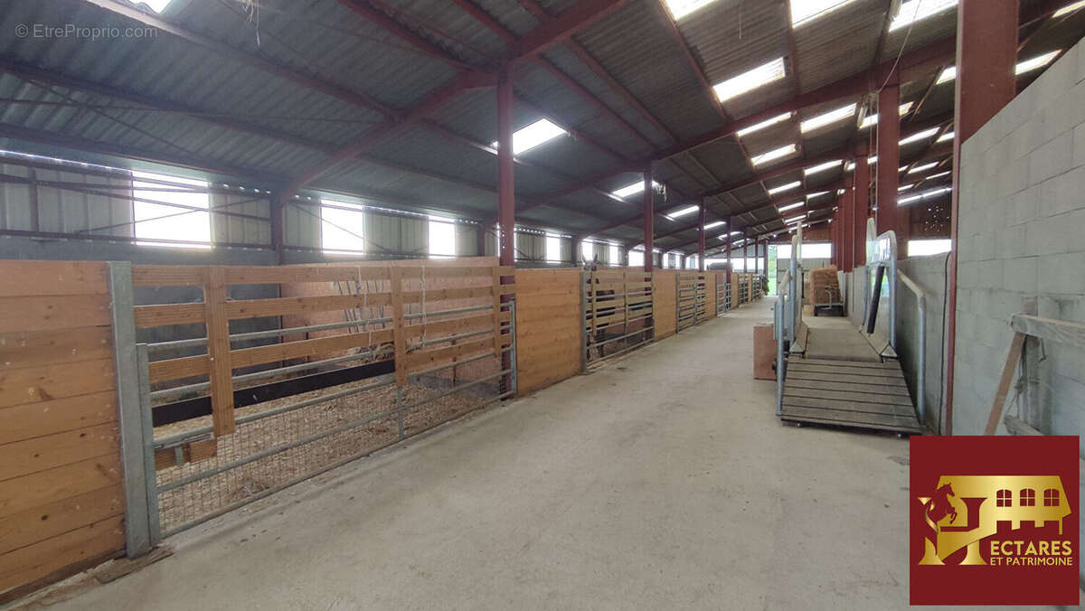 Maison à SAINT-BONNET-DE-JOUX