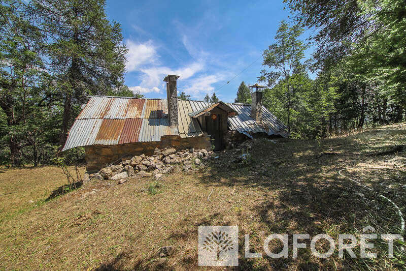 **muande + 7200 m² de terrain - embrun - photo 8