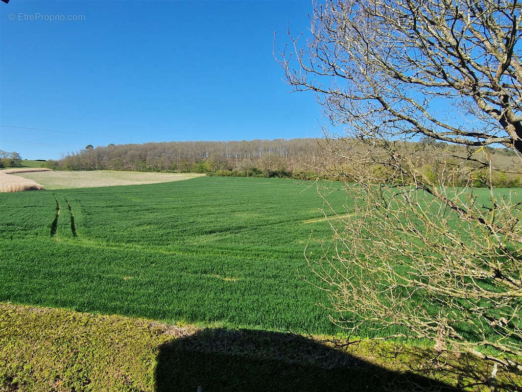 À visiter sans plus tarder ! - photo 9