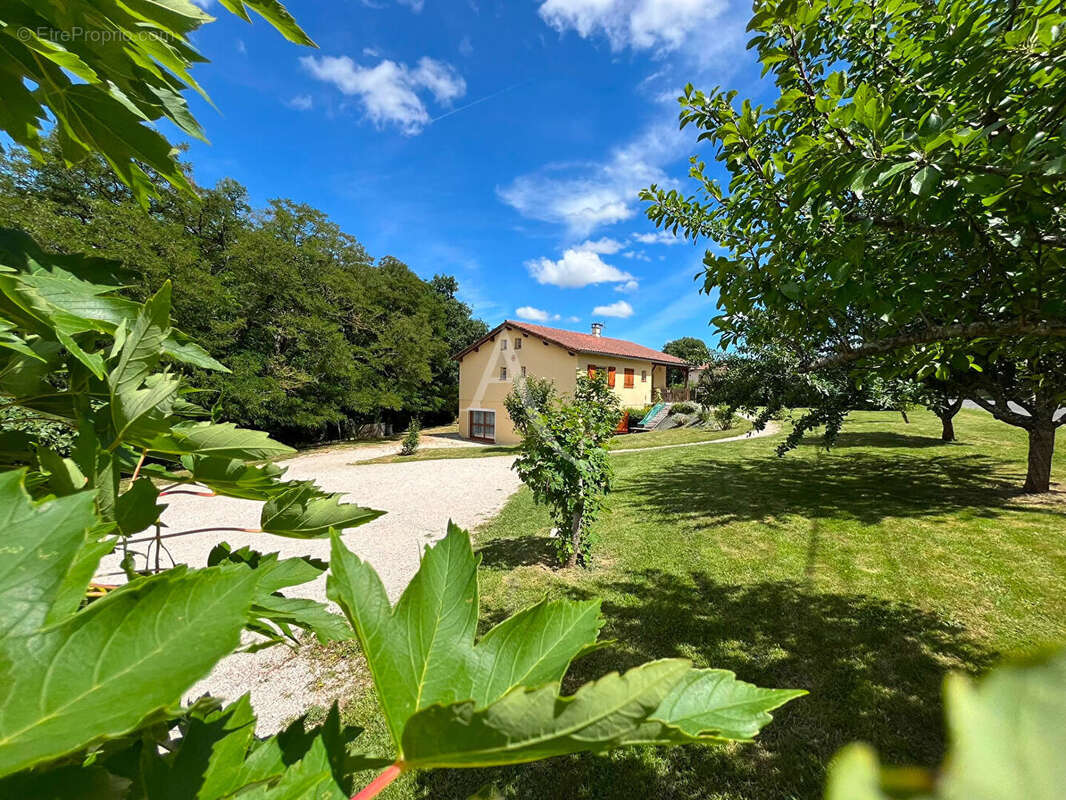 Maison de charme de 218 m² ? 3 logements ? Activité gîte en cours ? Terrain 2250 m² - photo 3