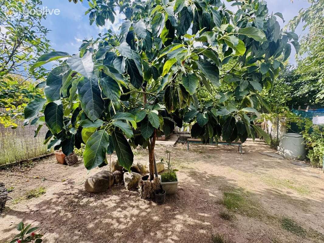 Appartement à PRUNELLI-DI-FIUMORBO