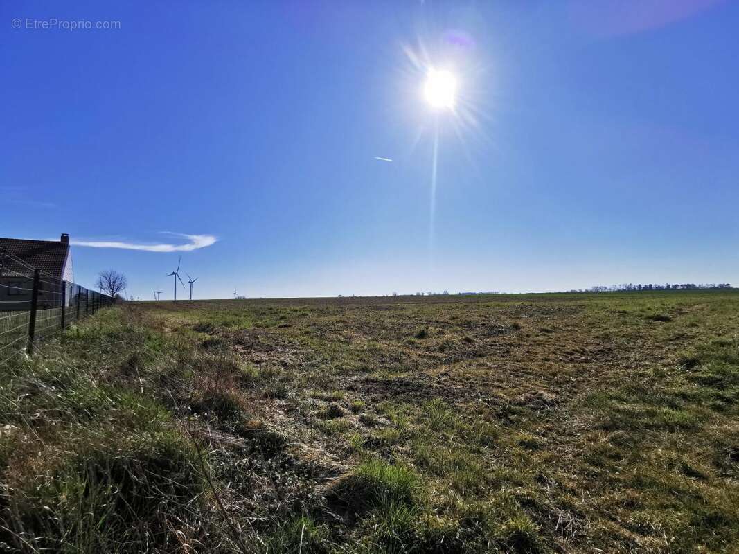 Terrain à MARQUION