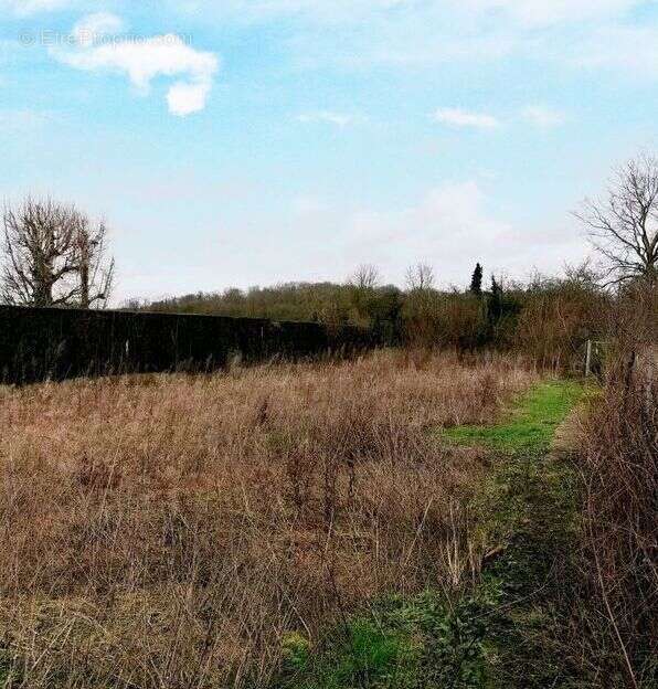 Terrain à COURDIMANCHE