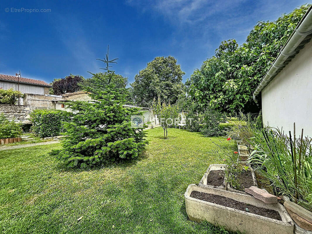 Maison Vasles 6 pièce(s) 135 m2 dépendances jardin - photo 6