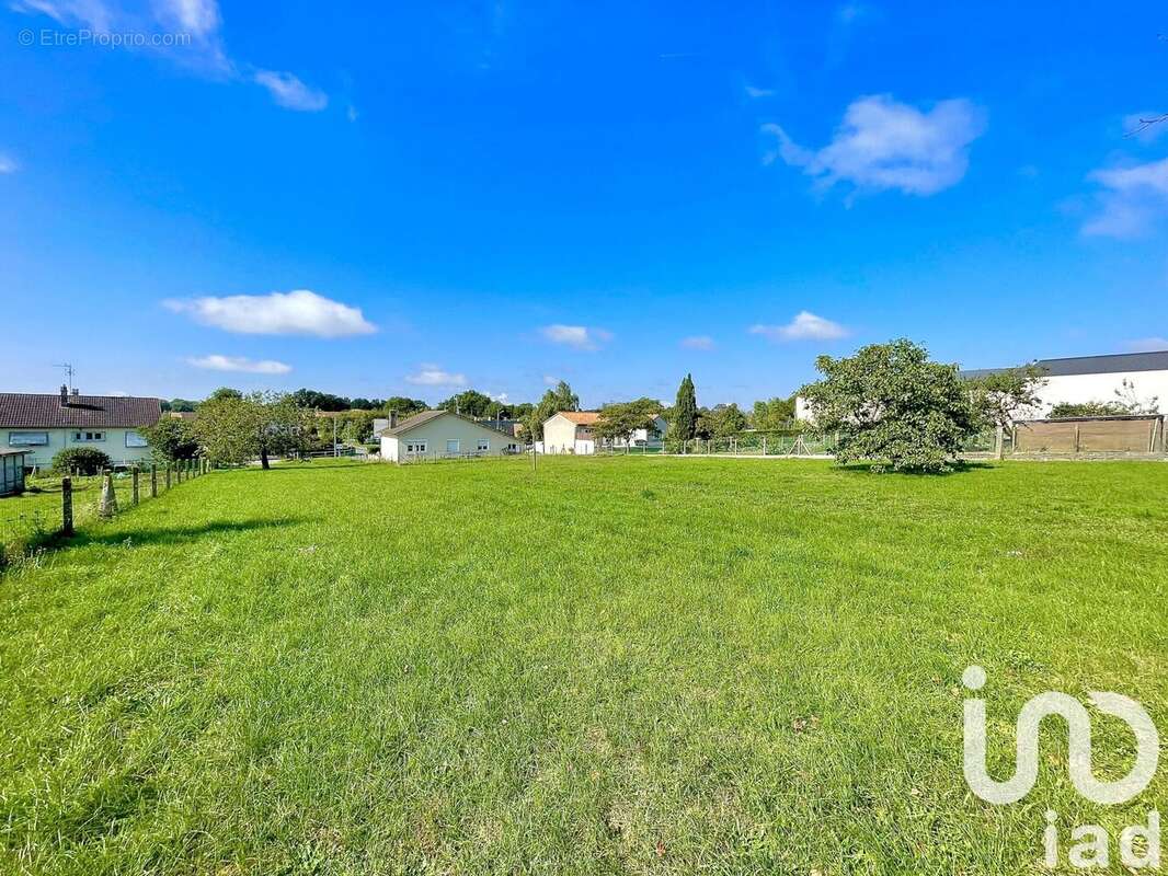 Photo 5 - Terrain à MONTMORILLON