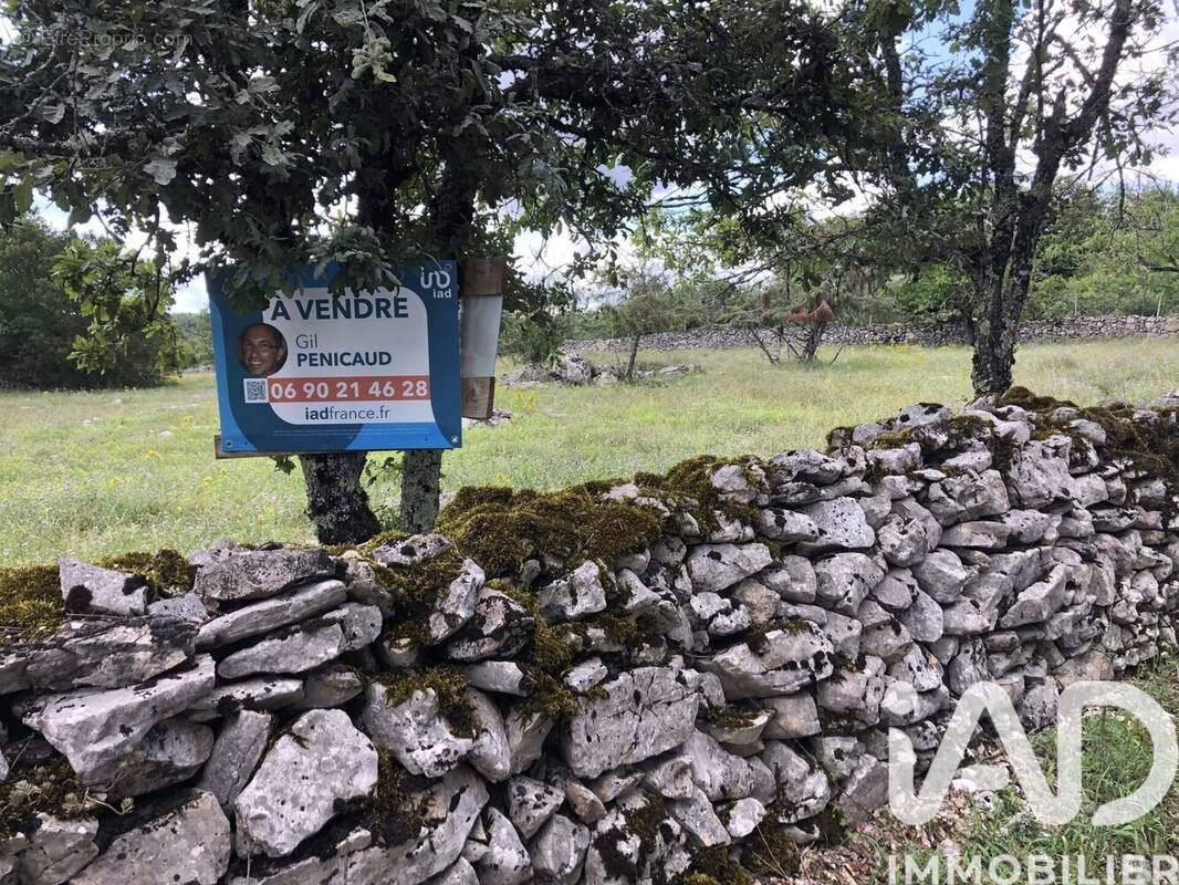 Photo 1 - Terrain à CORN