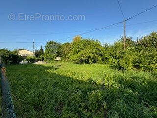 Terrain à BARBEZIEUX-SAINT-HILAIRE
