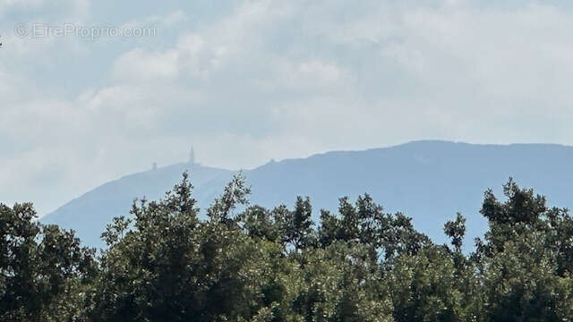 Maison à VAISON-LA-ROMAINE