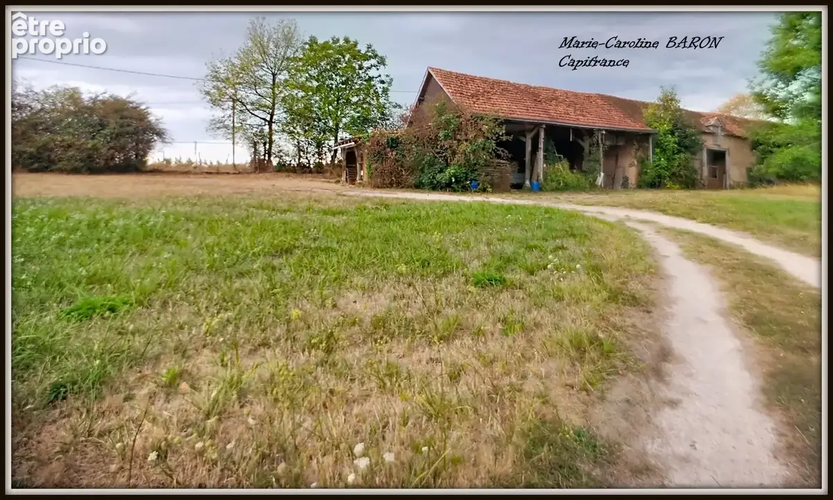 Propriete maison bois prairies buzancais (36) - photo 5