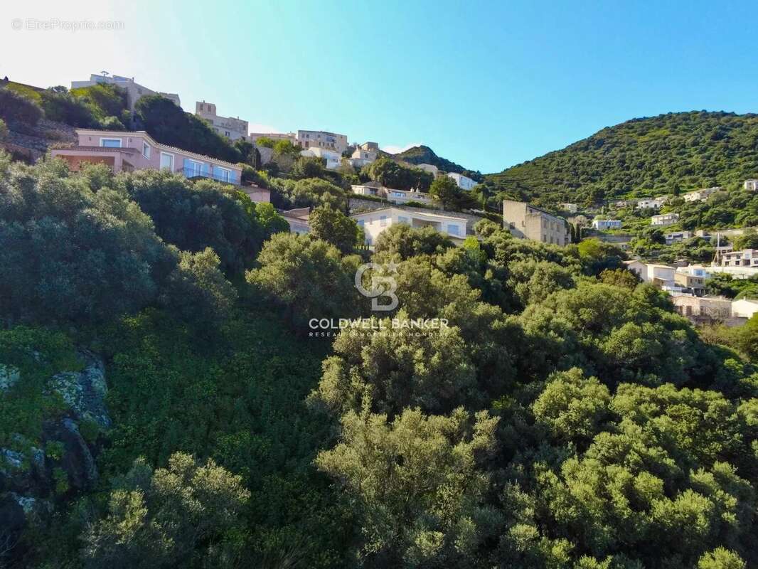 Terrain à MONTICELLO