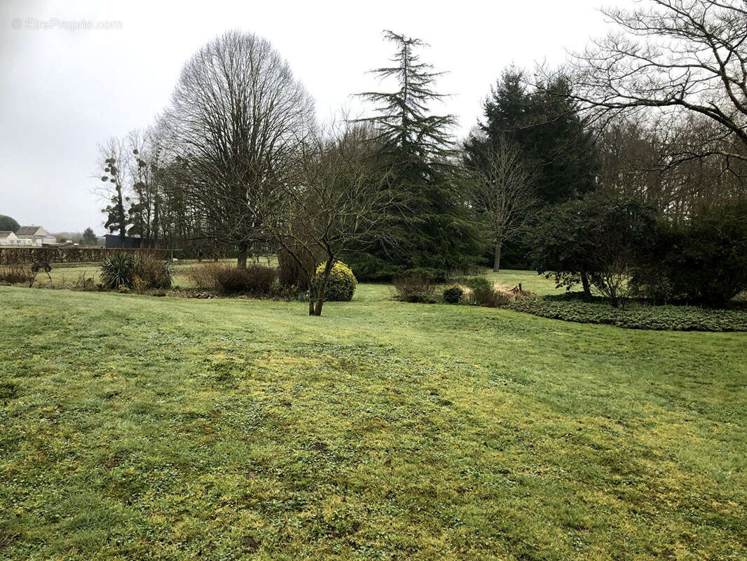 Maison à SAVIGNE-SUR-LATHAN