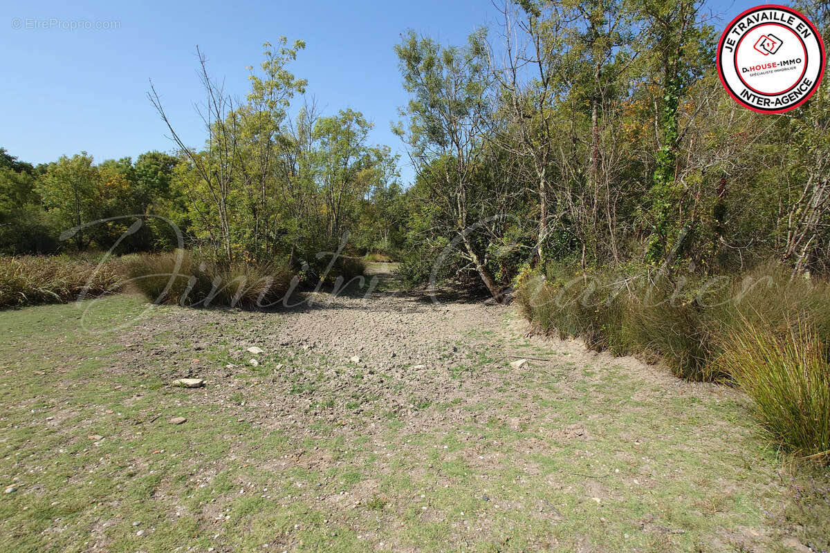 Terrain à SAINT-VIVIEN-DE-MEDOC