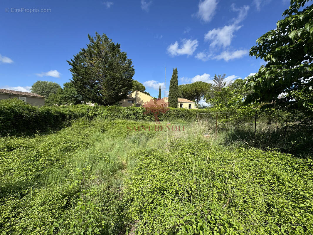 Terrain à ANIANE