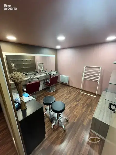 Commerce 160 m² à vendre à Fillinges (74250) - photo 6