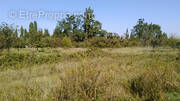 Terrain à VERS-PONT-DU-GARD
