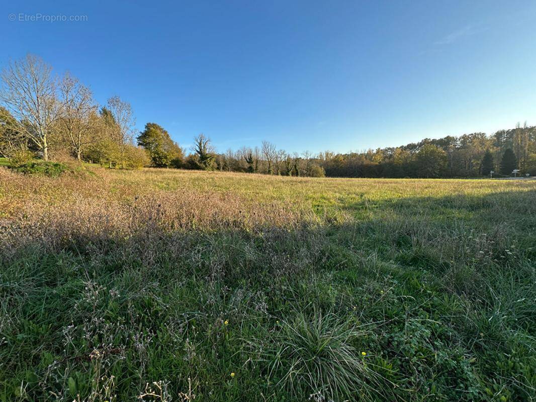 Terrain à SAINT-JEAN-DE-COLE